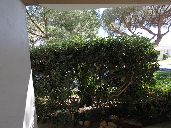 4th image of 521 E Anapamu St #C7