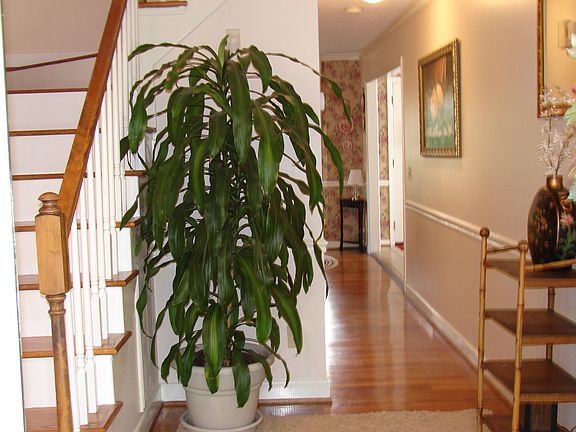 Two Story Foyer