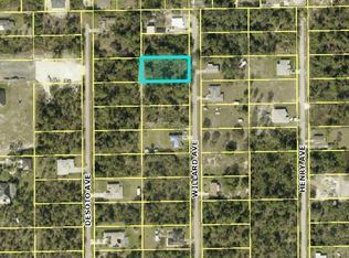 1119 Willard Ave, Lehigh Acres, FL 33972