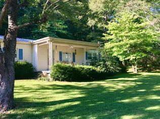 111 Williamstown Rd, Mineral Bluff, GA 30559