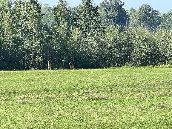 5th image of 0 Dell Rd