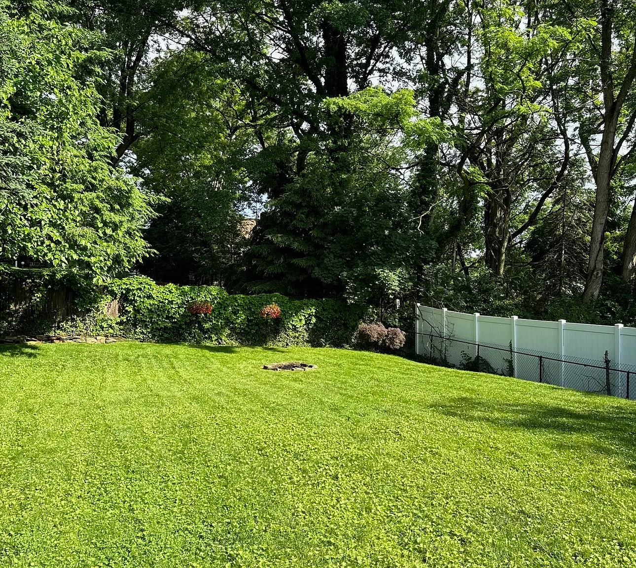 3 bed, 2000 sqft, $2,500 — Photo 4