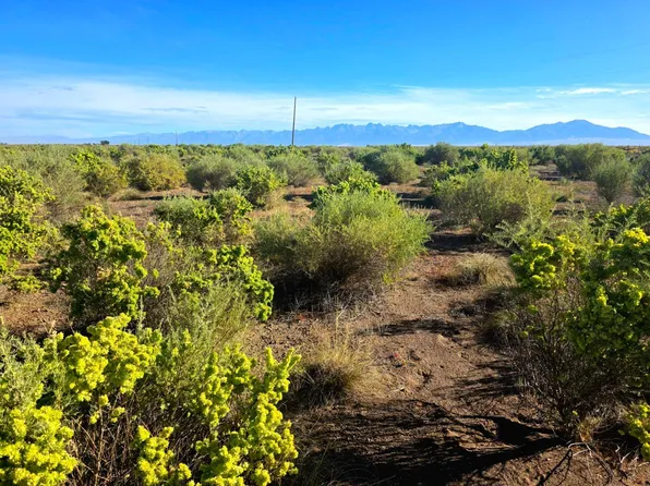 Lane #6N, Mosca, CO 81146