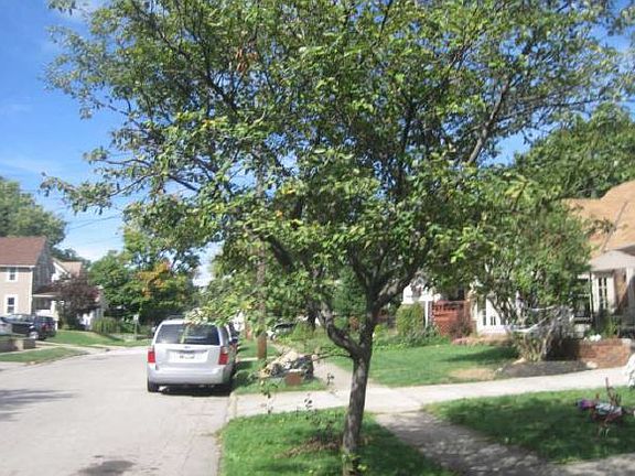 4th image of 2631 Maplewood St