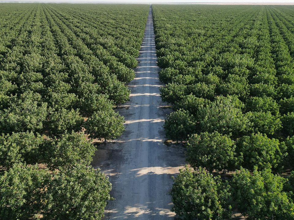 1st image of 0 Avenue 16