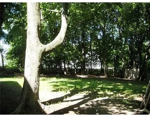 Yard - 132 Armistice Blvd