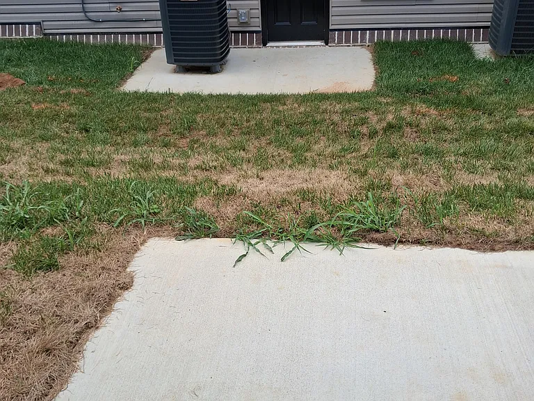 842 Ridgewood Dr #3 — Photo 8