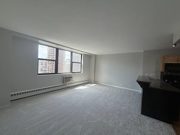 1445 N State Pkwy #1604 — Photo 10