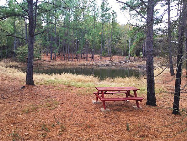 1st image of 2255 County Road 392