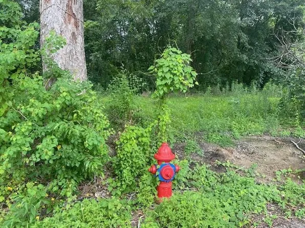 E 3rd St, Reserve, LA 70084