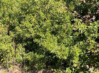 0 Ardwick Rd, Johns Island, SC 29455