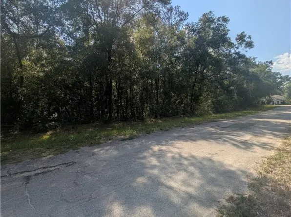 10484 N Holcomb Dr, Citrus Springs, FL 34434