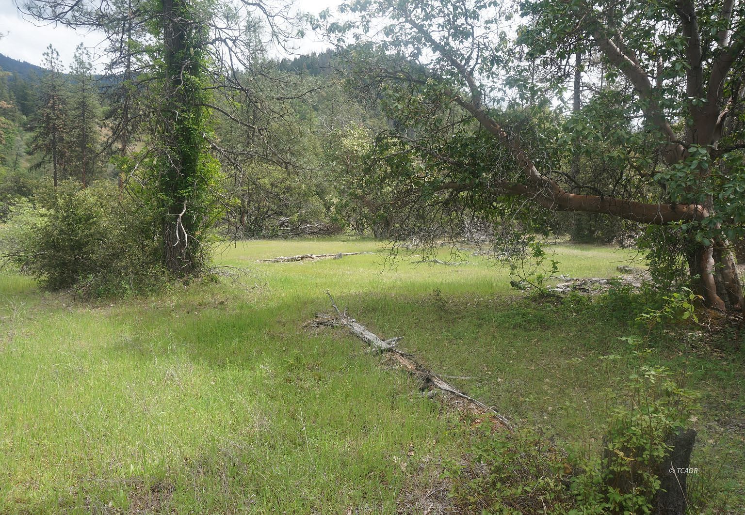 6269 Dutch Creek Rd, Junction City, CA 96048 MLS 2112063 Zillow