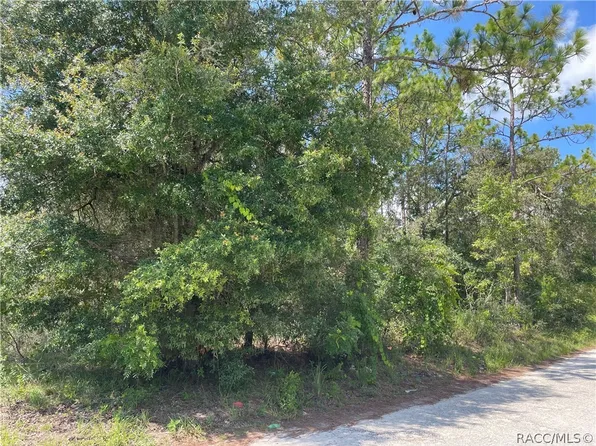 6750 E Suburban Ln, Floral City, FL 34436