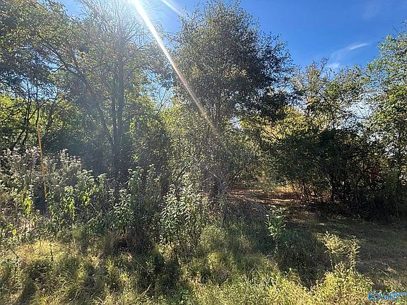 5th image of 29 Iris Ln