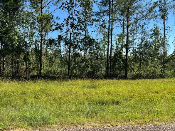 0 Walker Ferry Rd Lot 4, Pollock, LA 71467