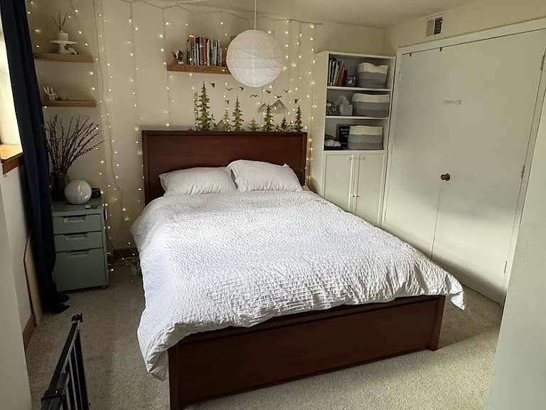 Downstairs den, could be used as office or bedroom. Spacious closet behind the double doors