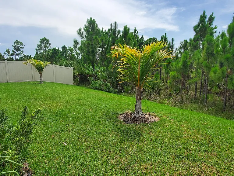 4227 Broomsedge Cir — Photo 53