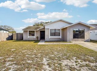 6807 White Cliffs Way, Tampa, FL 33625