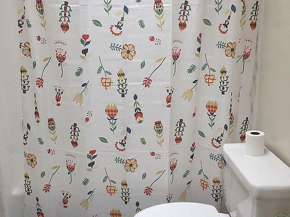 guest bath - skylights!