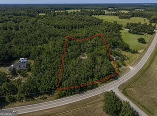 2391 Chalybeate Rd, Manchester, GA 31816