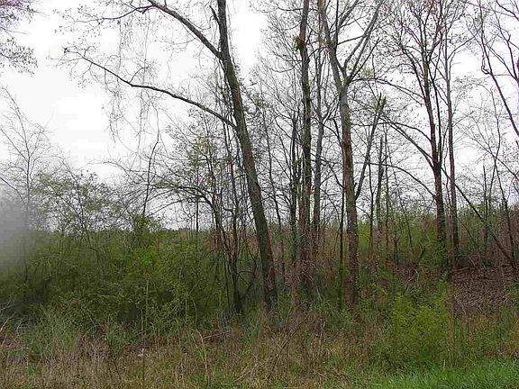 5th image of 10985 Highway 57