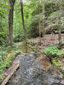 Harv Loop, Monterey, TN, 38574