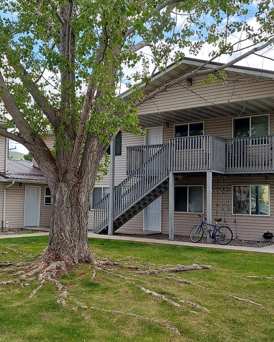 3 bed, 900 sqft, $1,650 — Photo 1