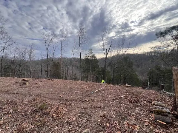 478 Peach Tree Ln, Russell Springs, KY 42642