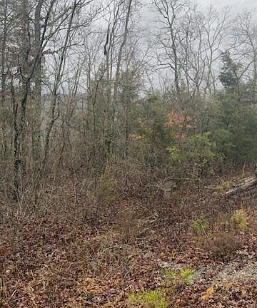 4th image of 8.7 Wolf Gap Rd #8.7