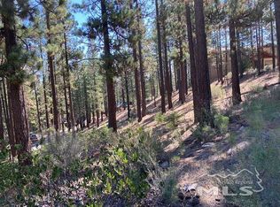 210 Pinon Rd, Markleeville, CA 96120