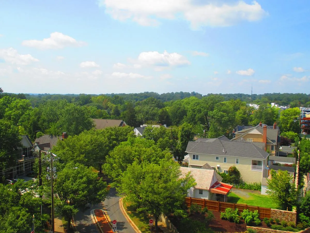 1 bed, 615 sqft, $1,850 — Photo 2