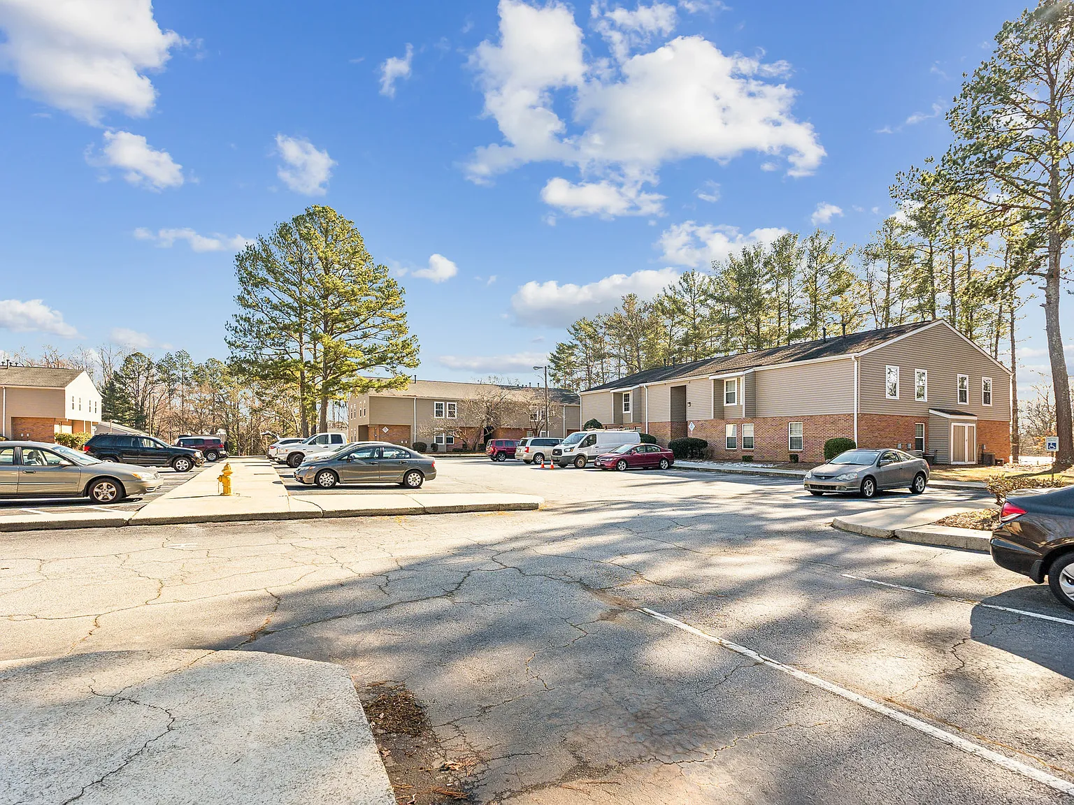 Southern Pines — Photo 1