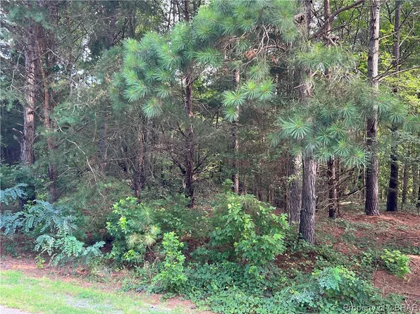 0 Orchard Cove Rd, Locust Hill, VA 23092