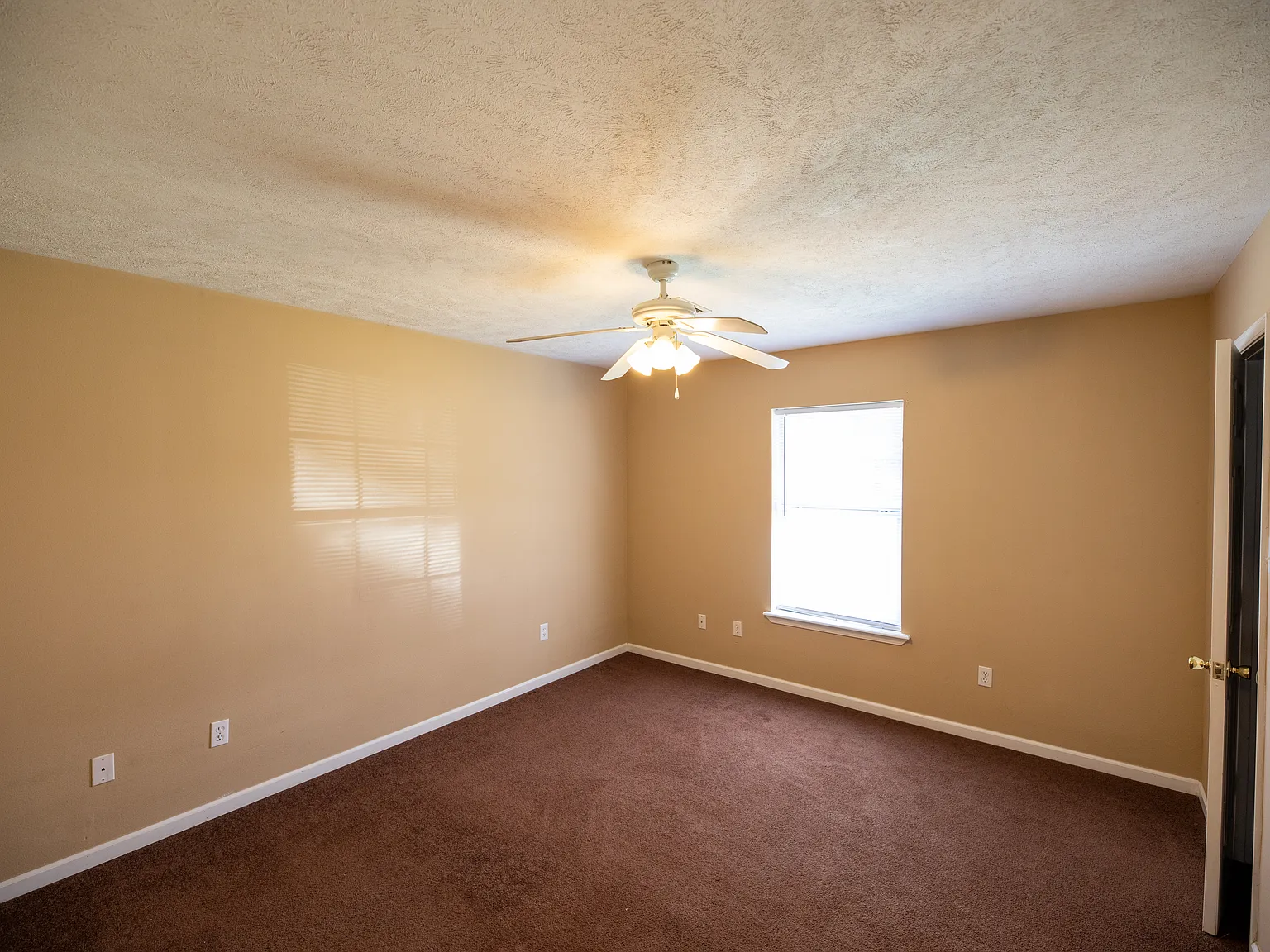 2 bed, 1.0 bath, $795 — Photo 3