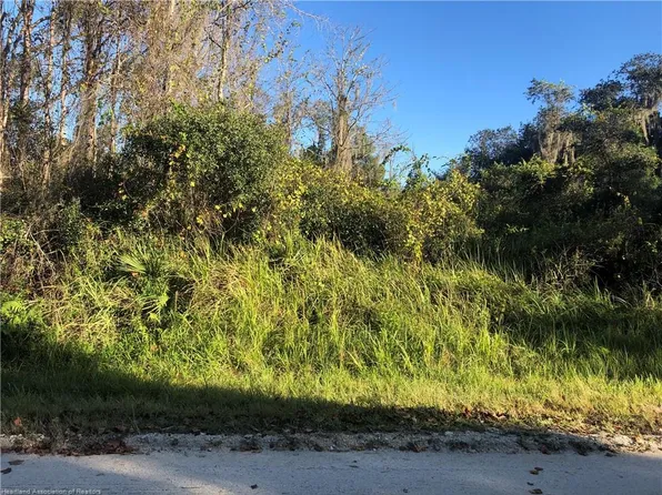 3107 Tanglewylde Ave, Lake Placid, FL 33852