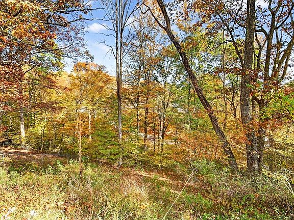 44th image of this home