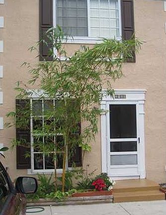 partial view of front townh.