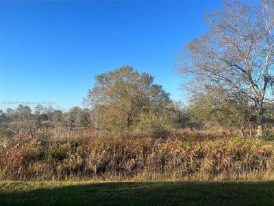 17489 NW 266th St, Okeechobee, FL, 34972
