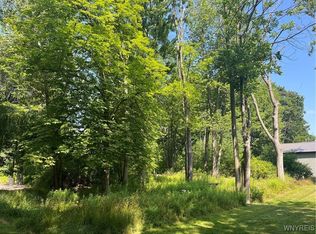 36 Irvington Dr, Amherst, NY 14228