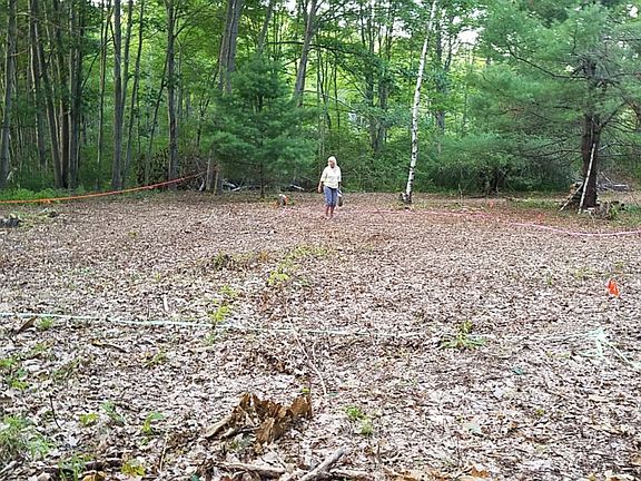 Building Site - Looking West