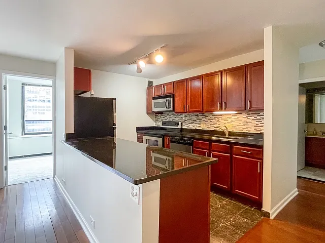 222 E Pearson St #1206 — Photo 1