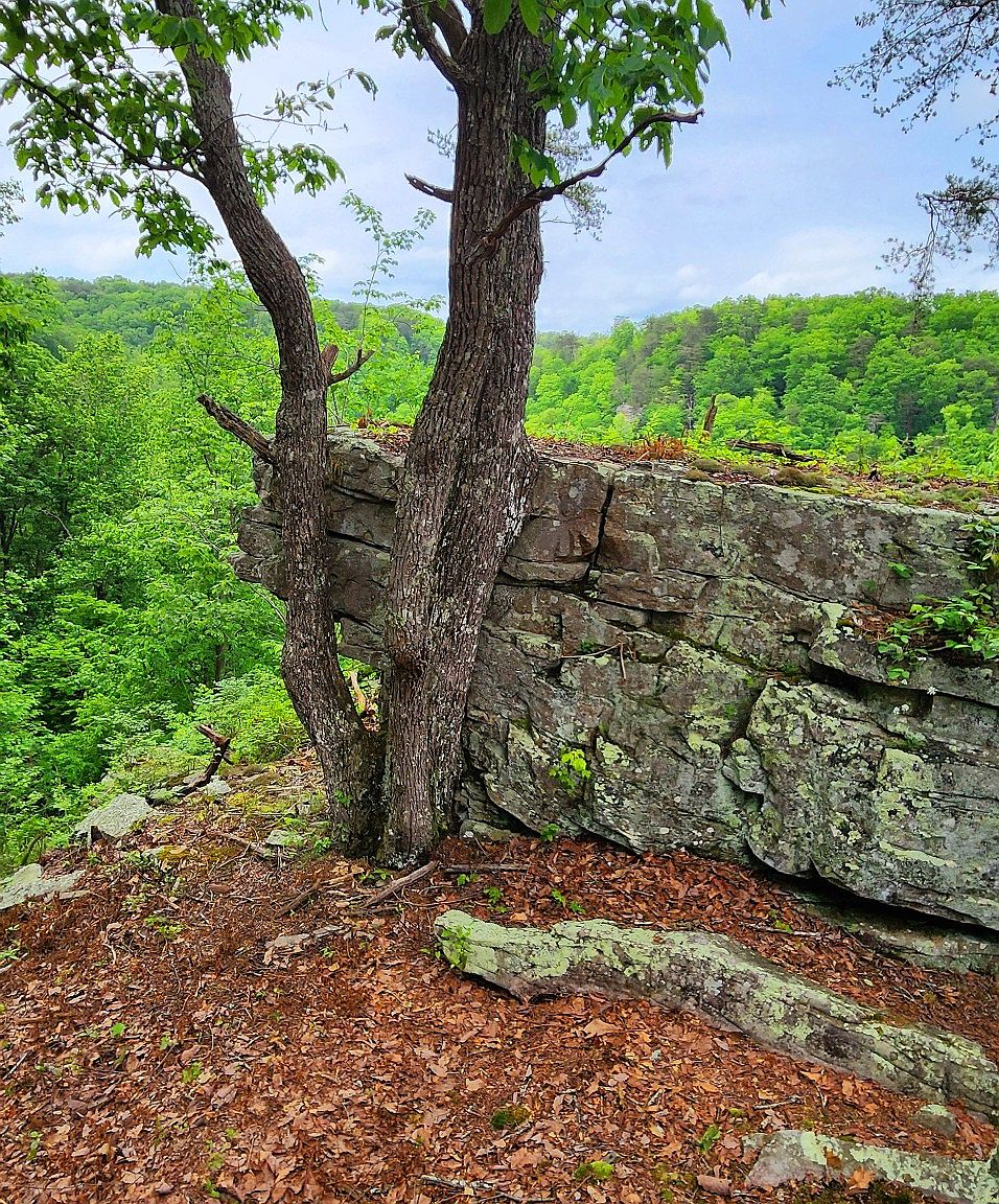 0 Bridal Veil Rte LOT 7, Monteagle, TN 37356 Zillow