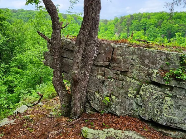 0 Bridal Veil Rte Lot 7, Monteagle, TN 37356