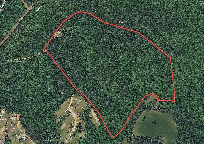 1st image of Maddox Ln