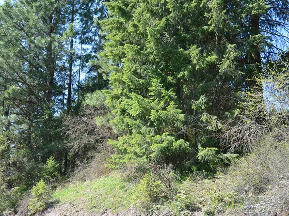 Long Prairie Or Bitteridge Rd, Valley, WA 99181