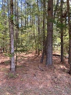 4th image of 0 Wilderness Rd
