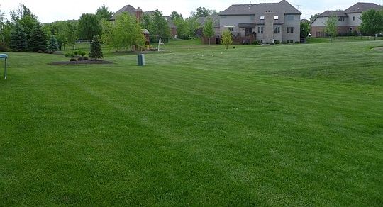 2nd image of 10883 Swallow Tail Ln