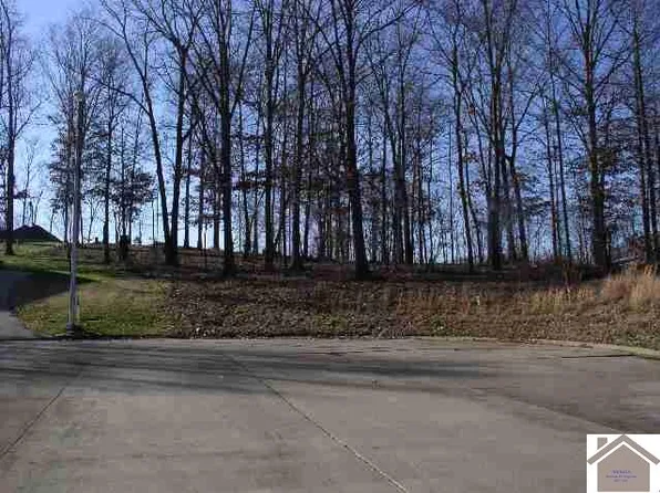 LOT 25 & Half Of 24 Eagle Dr, Benton, KY 42025
