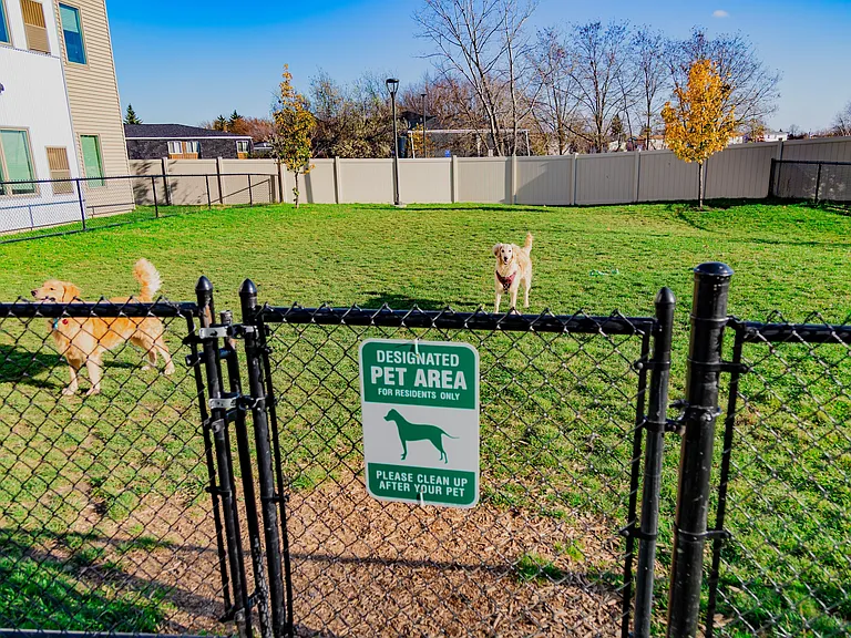 Dog Park